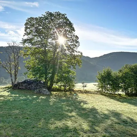 B1 Albmatte-fewo Sauna, Hallenbad Aussenbecken Massagen Nebenan Apartamento Menzenschwand-Hinterdorf