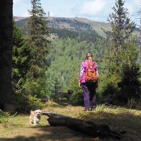 Apartamento B1 Albmatte-fewo Sauna, Hallenbad Aussenbecken Massagen Nebenan *