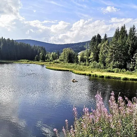 Apartamento B1 Albmatte-fewo Sauna, Hallenbad Aussenbecken Massagen Nebenan Menzenschwand-Hinterdorf