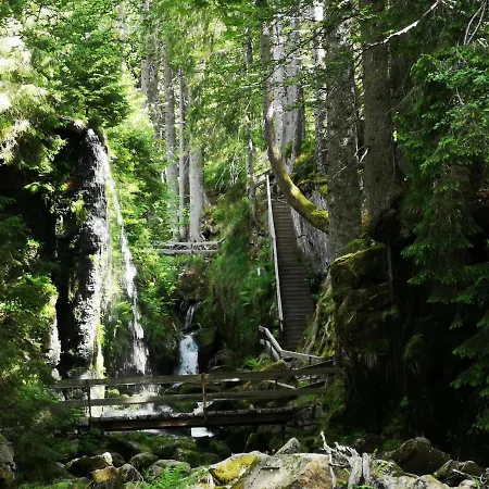 B1 Albmatte-fewo Sauna, Hallenbad Aussenbecken Massagen Nebenan Menzenschwand