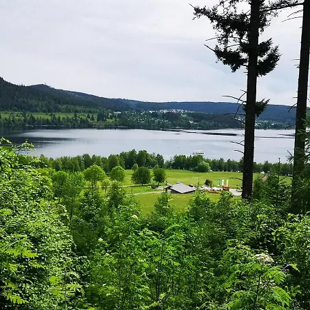 B1 Albmatte-fewo Sauna, Hallenbad Aussenbecken Massagen Nebenan * Menzenschwand