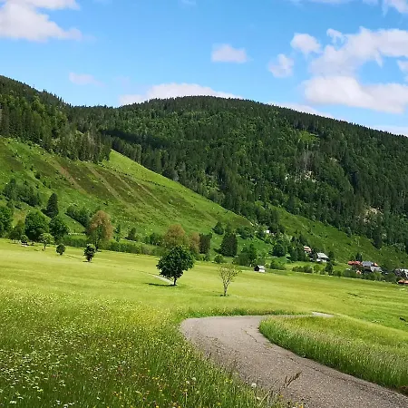 B1 Albmatte-fewo Sauna, Hallenbad Aussenbecken Massagen Nebenan * Menzenschwand