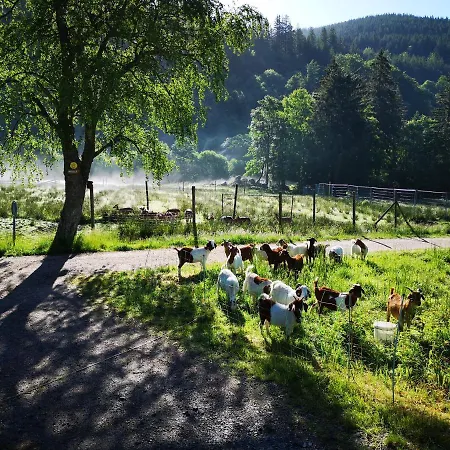 Apartamento B1 Albmatte-fewo Sauna, Hallenbad Aussenbecken Massagen Nebenan