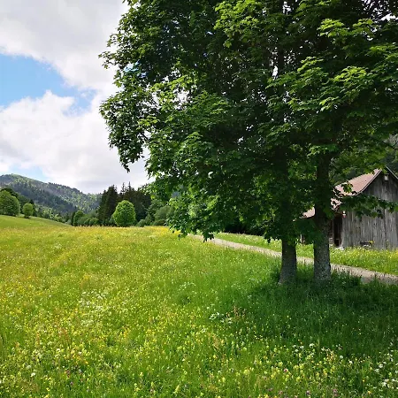 B1 Albmatte-fewo Sauna, Hallenbad Aussenbecken Massagen Nebenan * Menzenschwand-Hinterdorf