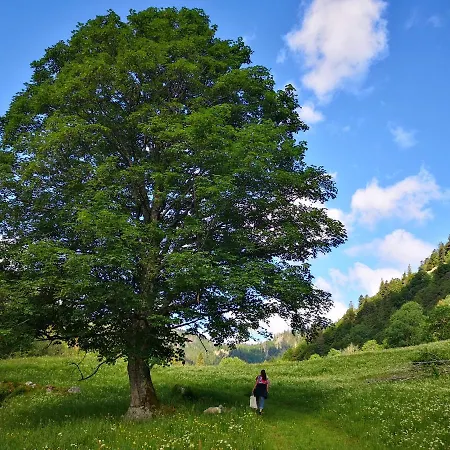 Apartamento B1 Albmatte-fewo Sauna, Hallenbad Aussenbecken Massagen Nebenan Menzenschwand-Hinterdorf