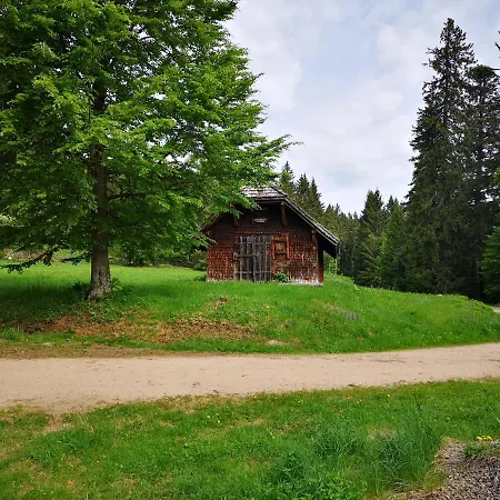 B1 Albmatte-fewo Sauna, Hallenbad Aussenbecken Massagen Nebenan Apartment *