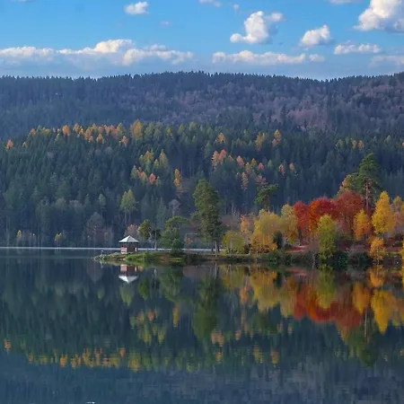 B1 Albmatte-fewo Sauna, Hallenbad Aussenbecken Massagen Nebenan
