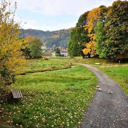 B1 Albmatte-fewo Sauna, Hallenbad Aussenbecken Massagen Nebenan