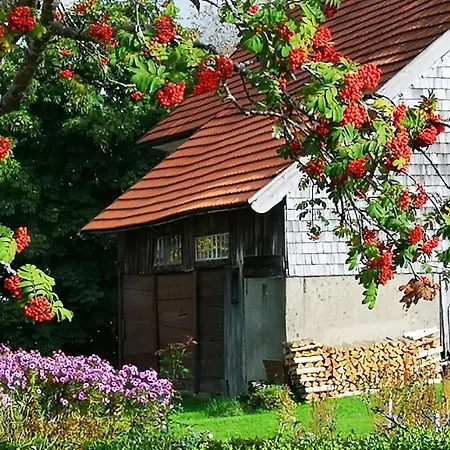 Apartment B1 Albmatte-fewo Sauna, Hallenbad Aussenbecken Massagen Nebenan *