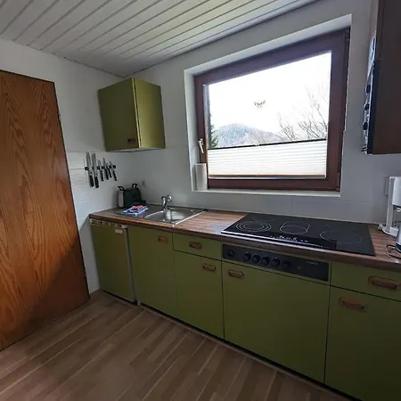 B1 Albmatte-fewo Sauna, Hallenbad Aussenbecken Massagen Nebenan Apartment Menzenschwand