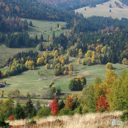 B1 Albmatte-fewo Sauna, Hallenbad Aussenbecken Massagen Nebenan * Menzenschwand-Hinterdorf