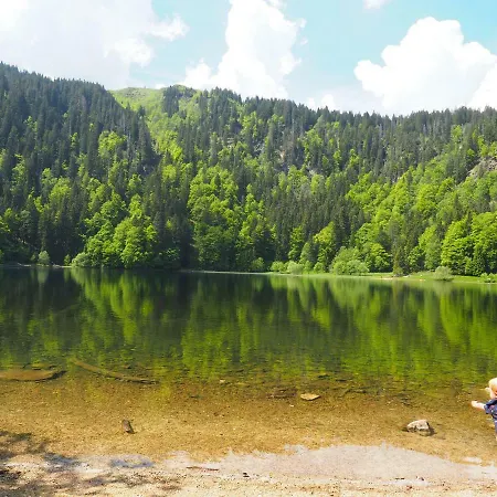 B1 Albmatte-fewo Sauna, Hallenbad Aussenbecken Massagen Nebenan Menzenschwand