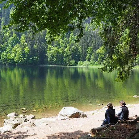 B1 Albmatte-fewo Sauna, Hallenbad Aussenbecken Massagen Nebenan Apartament *
