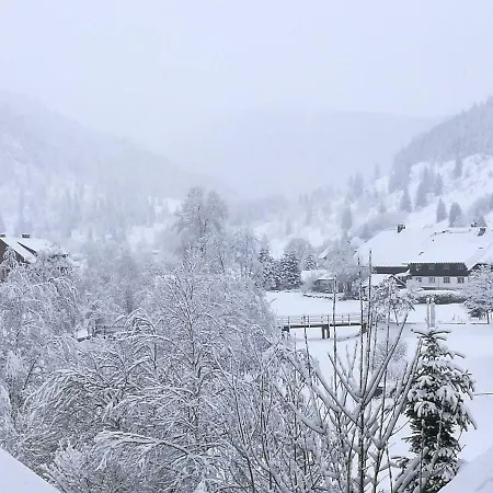 B1 Albmatte-fewo Sauna, Hallenbad Aussenbecken Massagen Nebenan Appartement *