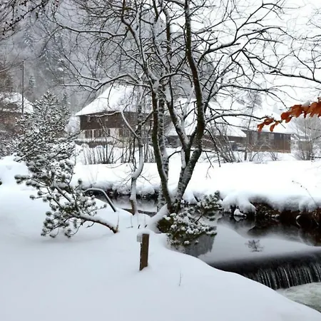 B1 Albmatte-fewo Sauna, Hallenbad Aussenbecken Massagen Nebenan *