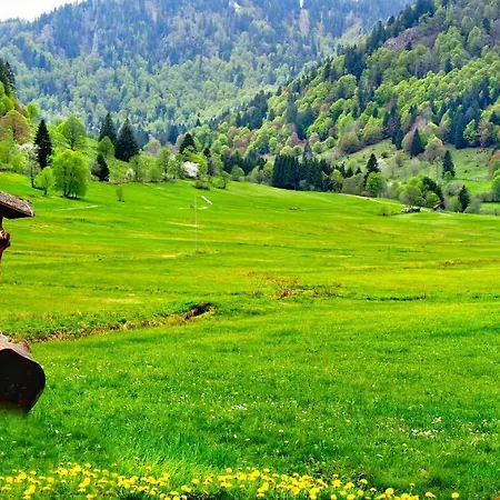 Apartamento B1 Albmatte-fewo Sauna, Hallenbad Aussenbecken Massagen Nebenan