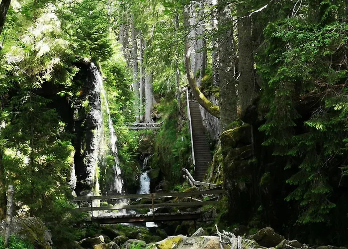 B1 Albmatte-fewo Sauna, Hallenbad Aussenbecken Massagen Nebenan Menzenschwand-Hinterdorf